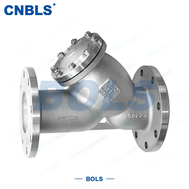 Fläns Y-typ filter i rostfritt stål